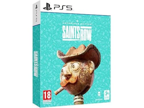 Jogo PS5 Saints Row (Notorious Edition)