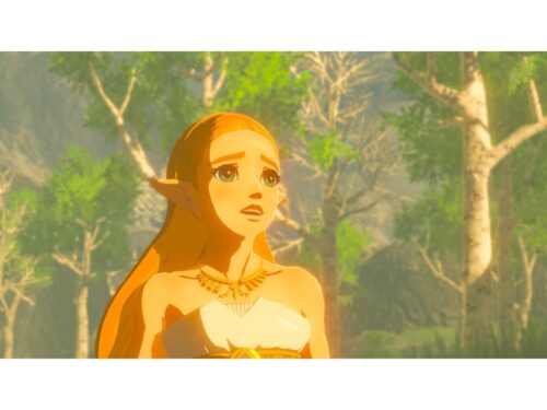 Jogo Nintendo Switch The Legend of Zelda: Breath of the Wild - Image 2