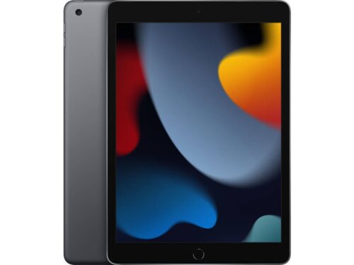 iPad APPLE (10.2'' - 256 GB - Wi-Fi - Cinzento Sideral)